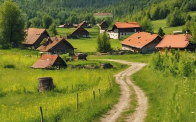 Letnje Branje Borovnica u Selu Brankovina