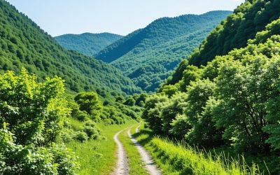 Najlepše skrivene destinacije za planinarenje u Srbiji 2025
