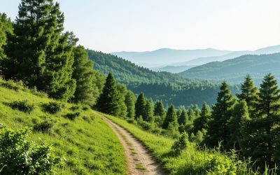 Istražite najlepše pešačke staze na Fruškoj Gori: Vodič