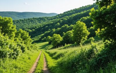 Najlepše pešačke staze u okolini Beograda: Kosmaj i više, vodič 2025