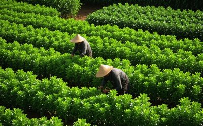 Zašto je vidljivost poljoprivrednika ključ za razvoj regenerativne organske poljoprivrede