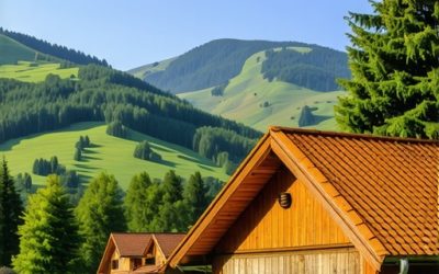 Cene smeštaja na Tari: Top ponude i preporuke za 2025