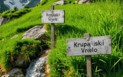 Kako doći do Krupajskog vrela? Top vodič za posetioce 2025