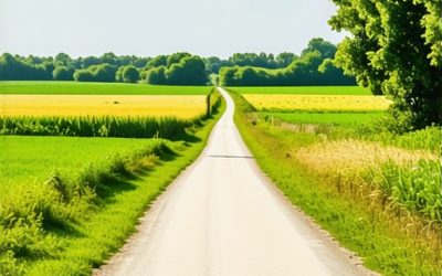 Koje su biciklističke rute u Vojvodini? Vodič za aktivni odmor 2025