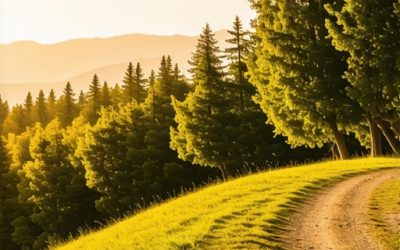 Ideje za izlete na Fruškoj Gori: Najbolje ture i aktivnosti za 2025.