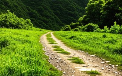 Najlepše pešačke staze na Suvoj planini: Vodič za ljubitelje prirode