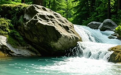 Šta je Beli Izvorac i zašto ga morate posetiti ove godine