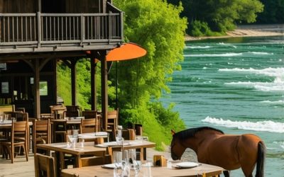 Domaći Doživljaj u Čardaklije Vrtoče: Restoran, Jahanje i Tradicionalna Kuhinja na Obali NP Una