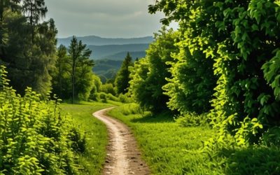 Najlepše pešačke staze na Fruškoj Gori: Top destinacije i saveti za 2025