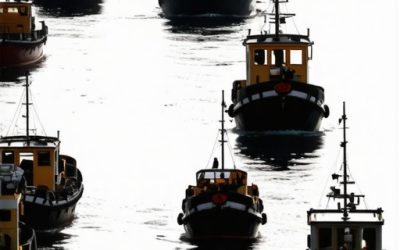 Drinska regata 2026: Kako preživeti gužvu na vodi [Logistika]