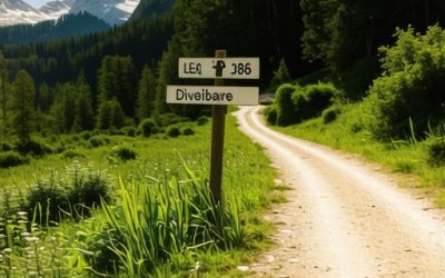 Divčibare 2026: Markacije koje su izbledele i gde skrenuti