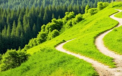 Fruška Gora 2026: Staze bez asfalta i gde dopuniti vodu