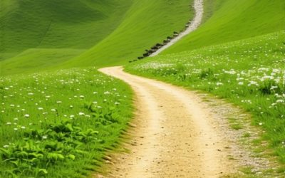 Planina Stol: Zašto je bolja za početnike od Rtnja?