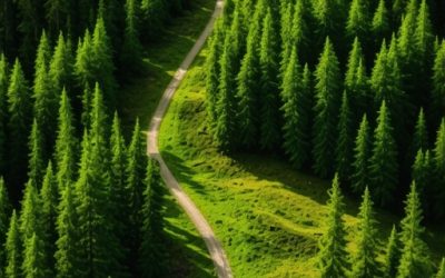 Grmeč 2026: Kako izbeći šumske radove i naći sigurne staze [Vodič]