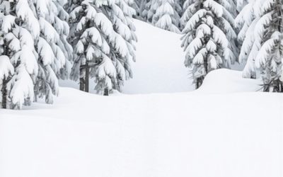 Maljen zimi 2026: Kako izbeći zaleđene staze bez vodiča? [Mapa]