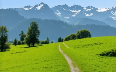 Planina Cer 2026: Istorijska tura bez lutanja i gužve [Mapa]