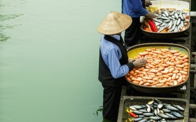 Tisa 2026: Gde jesti ribu bez turističke marže i mulja? [Cene]