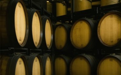 Vino u Župi 2026: Kako prepoznati prirodna vina u podrumu? [Mapa]