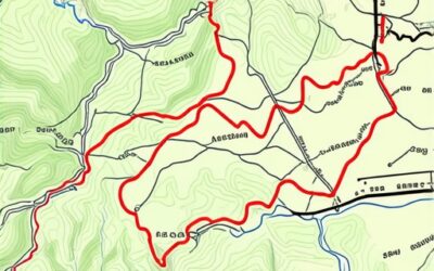 Prerasti Istočne Srbije 2026: Staze bez odrona i lutanja [Mapa]